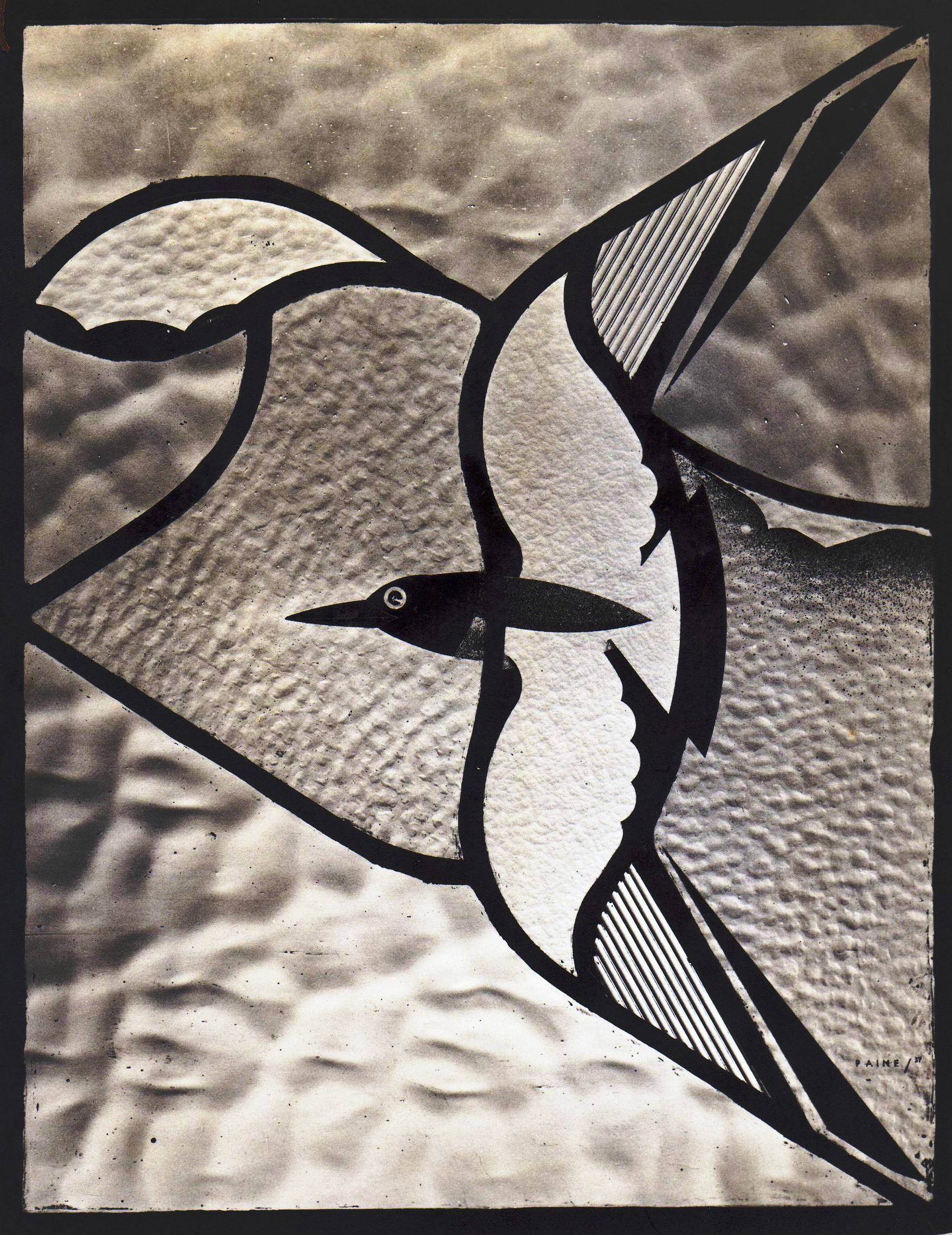Study in White - Black-headed gull (Trubshaw) window panel