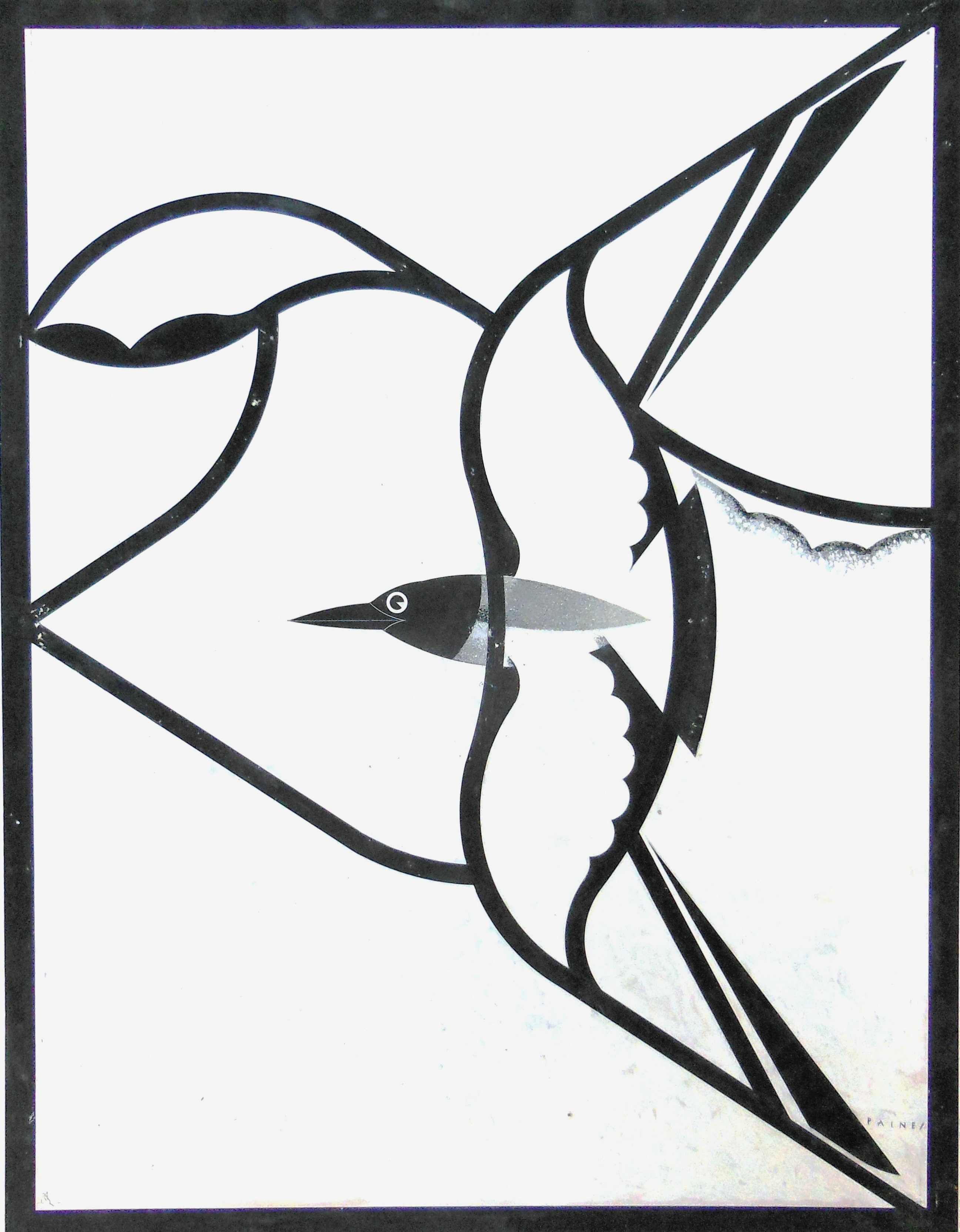 Window design Study in White black-headed gull