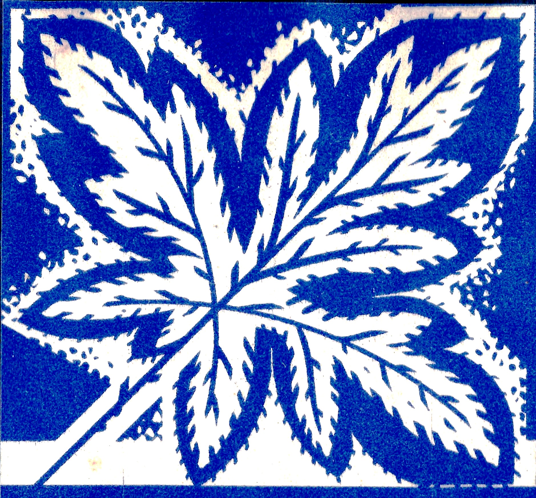 7 Maple Leaf Canada design blue and white Sundour