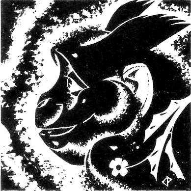 Bk 1 No 9 - An unusual pet, a capuchin onkey - Copy