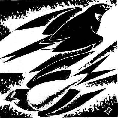 18 Bk 1 15 - SPRING with special reference to swallows - Copy