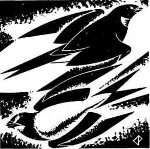 18 Bk 1 15 - SPRING with special reference to swallows - Copy