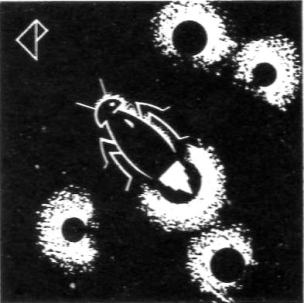 19 Bk. 2 Chp. 16 The Glow-Worm