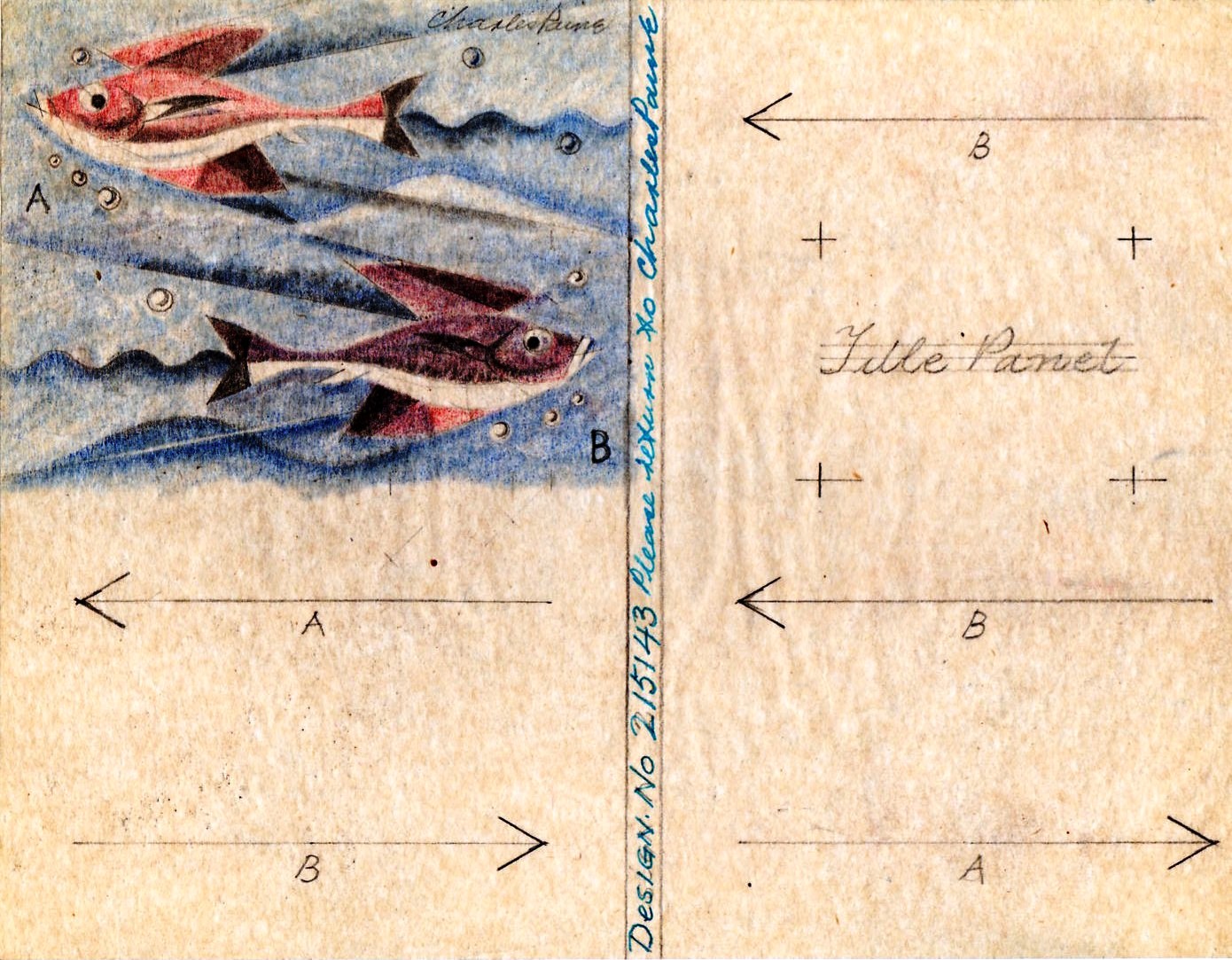 Study for King Penguin 1943 3