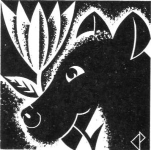 2 Bk 2 Ch. 1 Animal intelligence