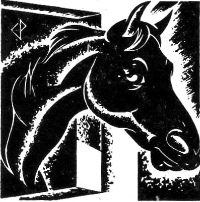 Bk 1 No 17 When I was young - Black Beauty - Copy