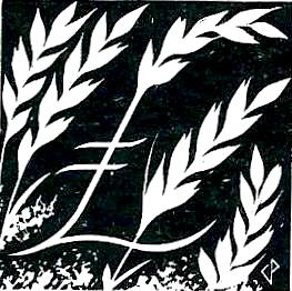 Bk 1 Hidden Treasure