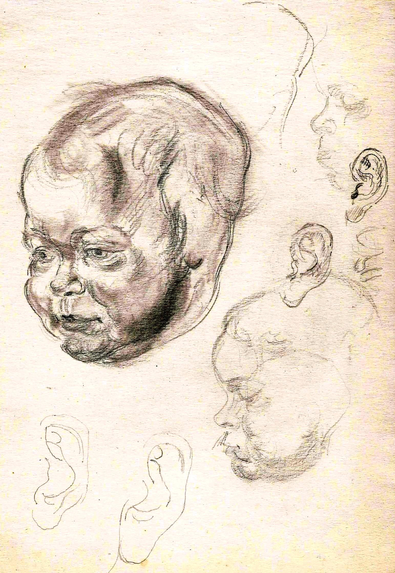 Baby face studies Paine (4)