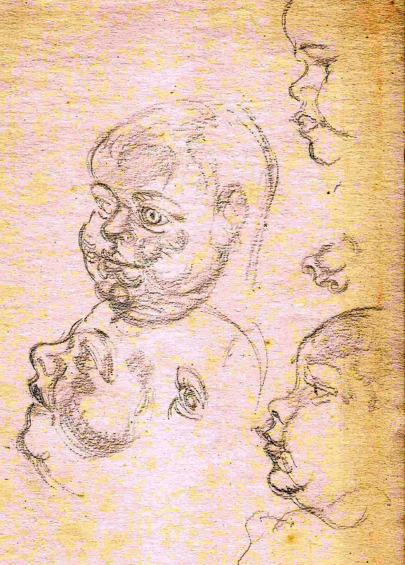 Baby face studies Paine (6)