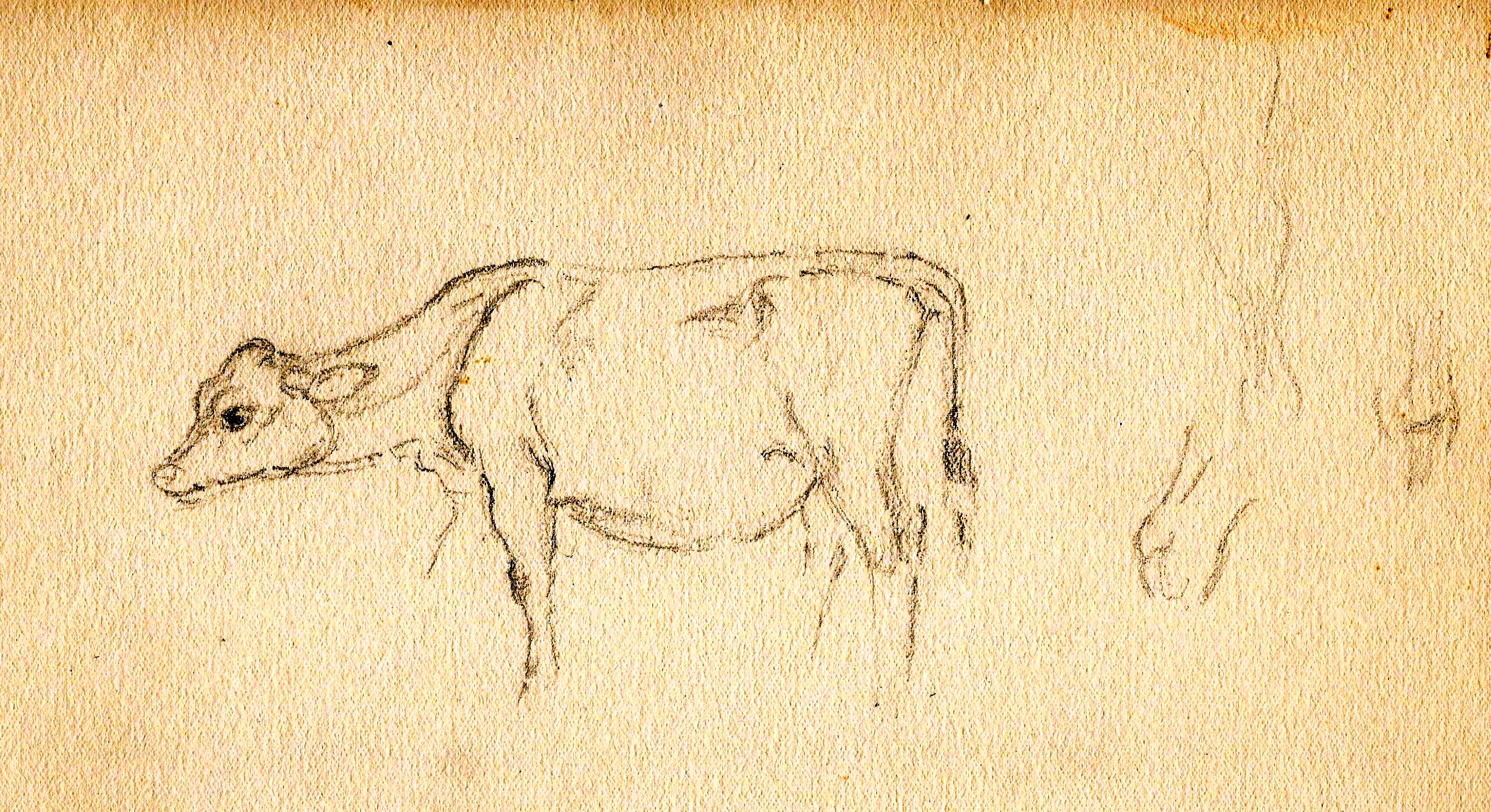Cow Studies 3 Paine