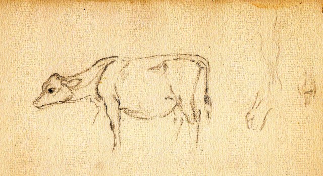 Cow Studies 3 Paine