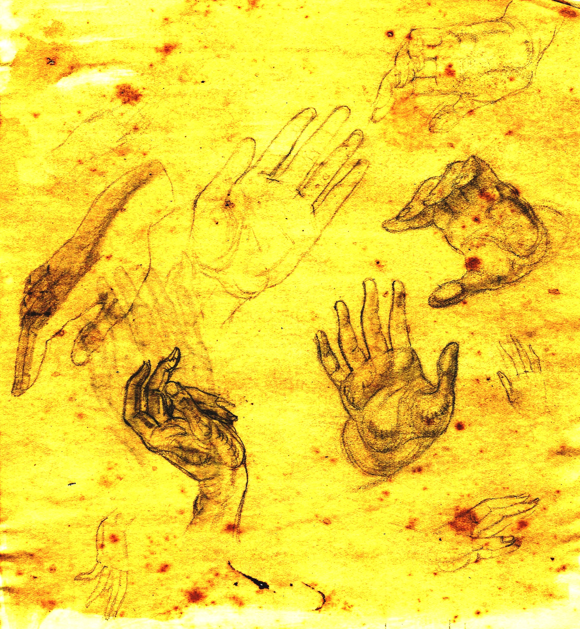 Hands 3 - pencil studies Paine B (1)