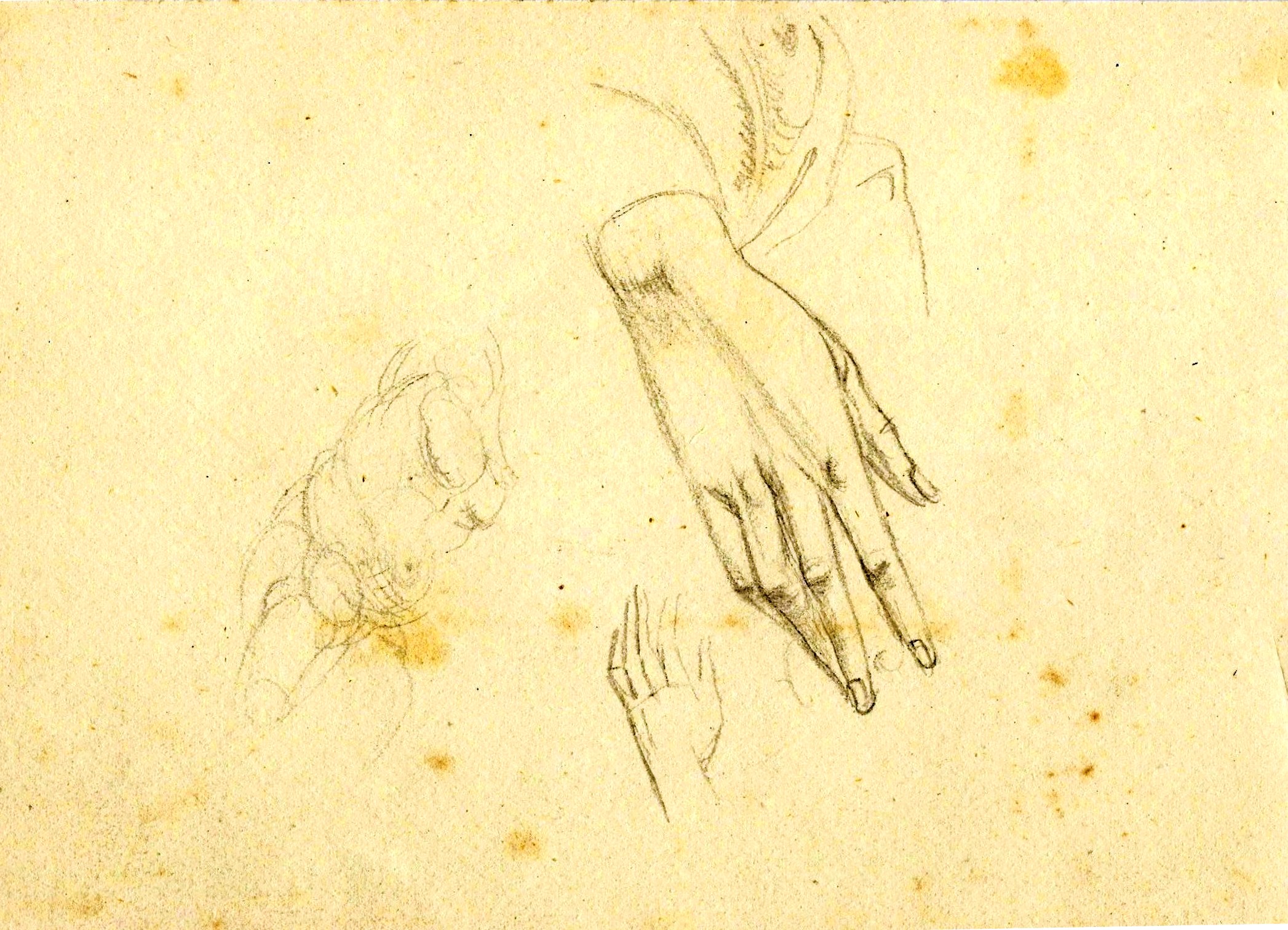 Hands pencil studies Paine (2)
