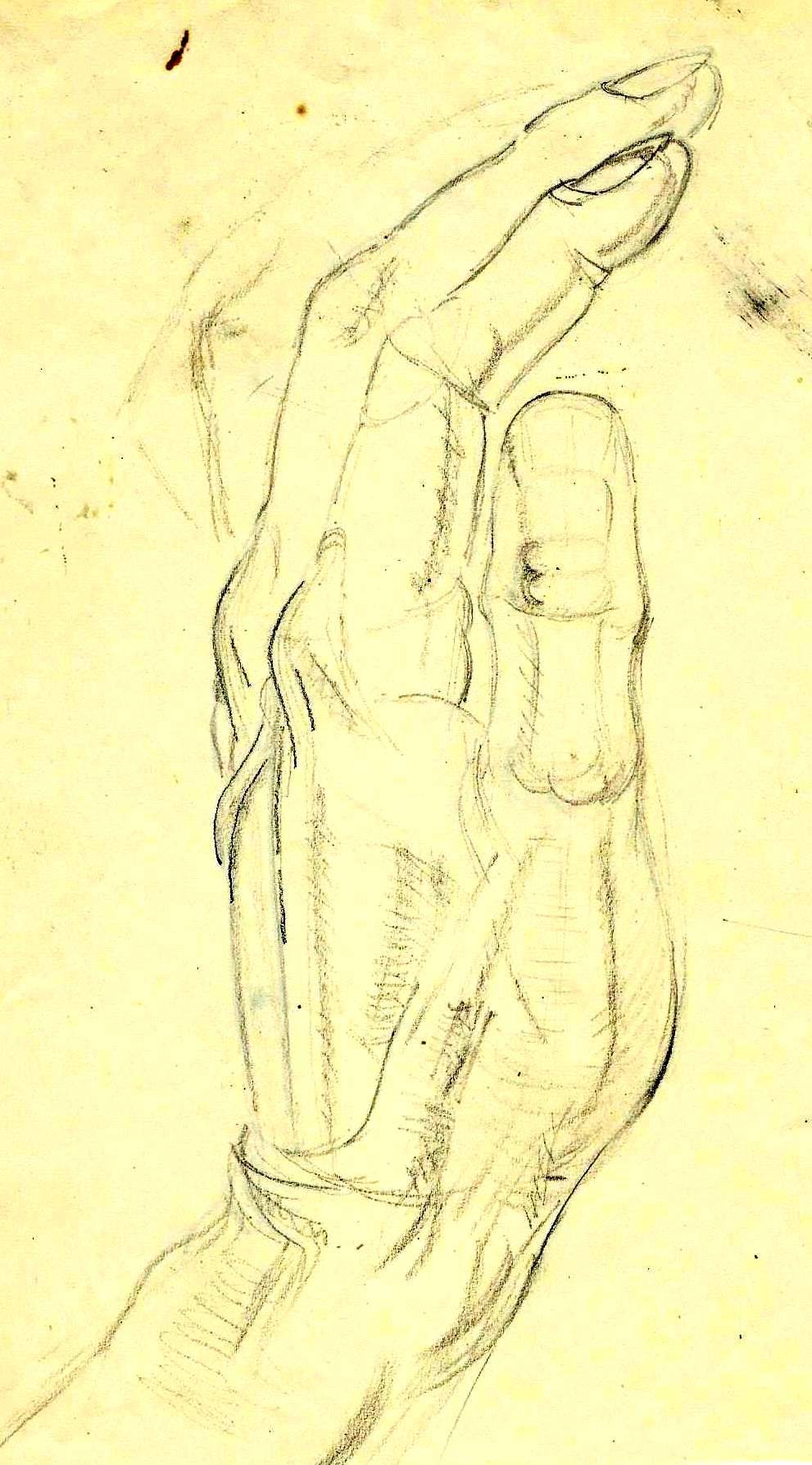 Hands pencil studies Paine A (3)